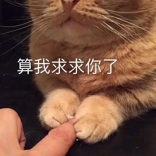  高圆圆变大众脸,刘亦菲沉迷蛇精下巴,明星自拍怎么还没抓拍好看