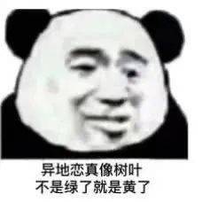  搞笑沙雕熊猫头表情包