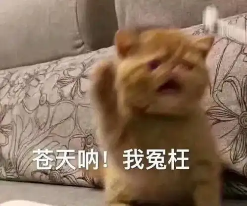  表情包哪个小朋友晚上还不睡觉