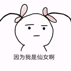  我的心里只有一件事弄死你可爱表情包因为我是仙女啊小人表情包下载乐游网游戏下载