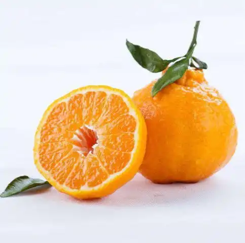 你真的会选丑橘吗学会这三招,水果摊老板都怕 你真的会选丑橘吗学会这三招,水果摊老板都怕