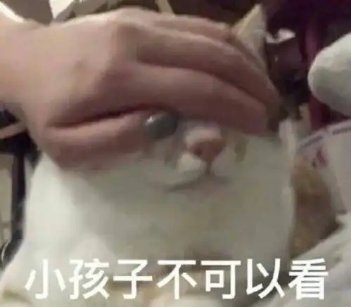  热门表情包拿图片小孩子不可以看
