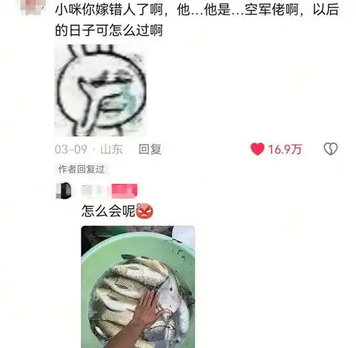  僧人救助生病猫咪,付款时的操作直接看哭众人