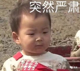  当老师怀孕还要排队摇号,当代女性生存环境有多魔幻