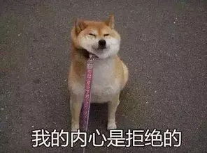  一个英语考试app用一年要298元宁波家长质疑被自愿引发关注