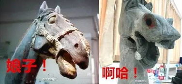  文物界泥石流来袭完全是表情包的集装箱太欢乐