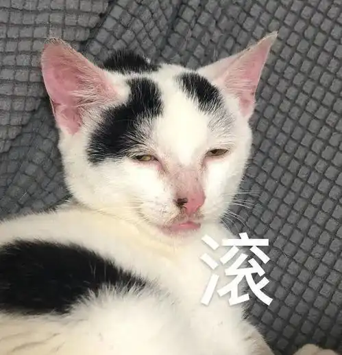  第868期