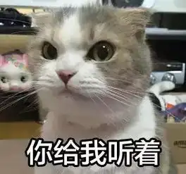  再上7天班,青岛人集体放假