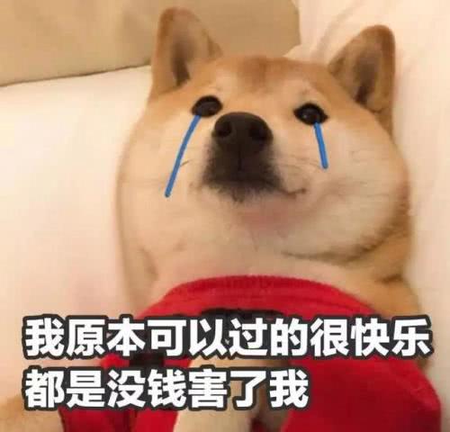  欢笑集锦我养儿养这么大了,用用他月票怎么不行了