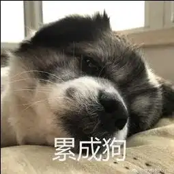  witty苹果的美拍