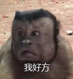 嘻悠猴微信表情包头像