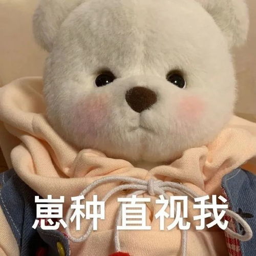  表情包崽种,直视我