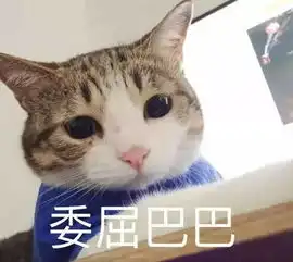  不服来战双十一最强剁手书单
