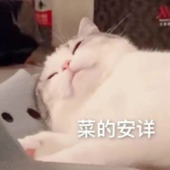  听着这些物美价廉的手机配饰店值得你收藏