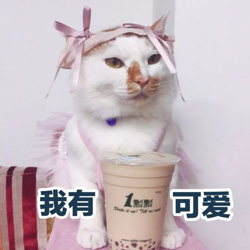 2018年度爱用这些让我死心塌地的最爱个护盘点