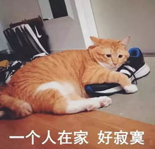  假如你一觉醒来,发现自己穿越了