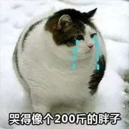  这些素菜,有可能比肉类更催胖难怪你减不了肥