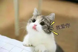  老公老公,我爱你