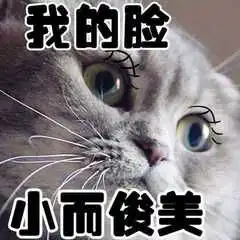  算我求你的,不要再买这些美妆神器了