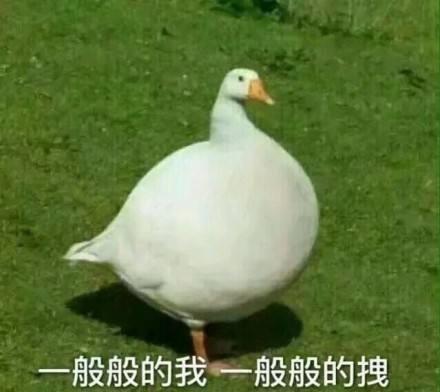  农村里面的那些好笑的事情
