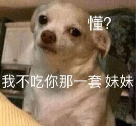  帮我取个半藏森林鹿依这样清新自然的网名好吗