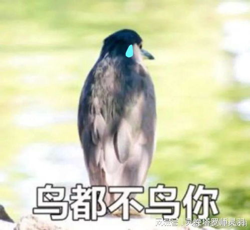  你的正缘身高188,家里有矿高富帅