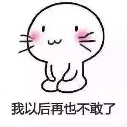  扑通跪下我错了表情包