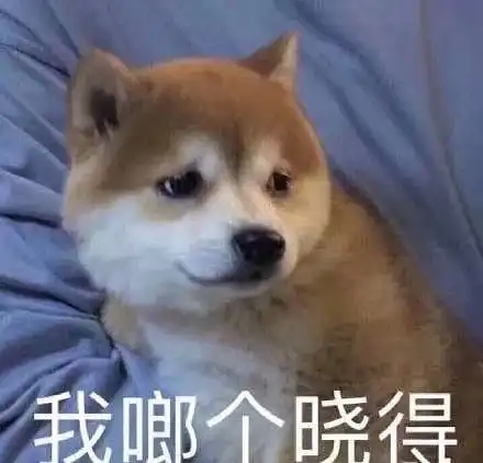 表情包看一个人法硕