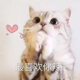  简笔画教程用2块钱的圆珠笔就能画的治愈萌图我终于有猫啦