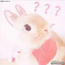  有本事恁死我啊喵咪表情包旺仔牌手电筒照亮你的丑表情包下载乐游网游戏下载