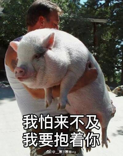  上海禁开学两周内摸底考,学校把考试时间改8.31