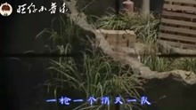  59秒刺激战场吃鸡版生僻字一枪一个,消灭一队吴京真能玩