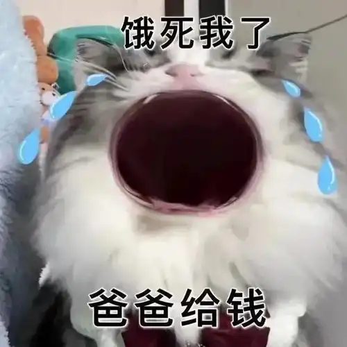  大嘴猫猫表情包