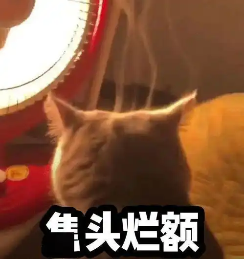  2022,礼当如此