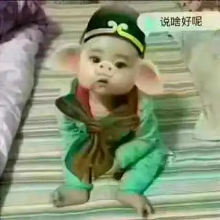 最美彩虹简介最美彩虹背景介绍yy官方