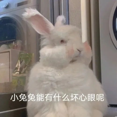 请各位刘亦菲康康,这样是凸嘴吗