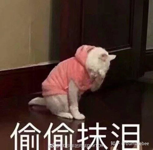 牙疼表情包偷偷接吻