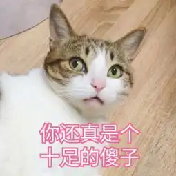  快手最火头像男生潮流霸气不讲道理向来以有趣服人