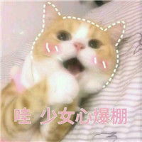  卖萌猫咪表情包带字带激萌今天依然是任性的小公举腾牛个性网