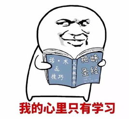 公主连接可可罗表情包开