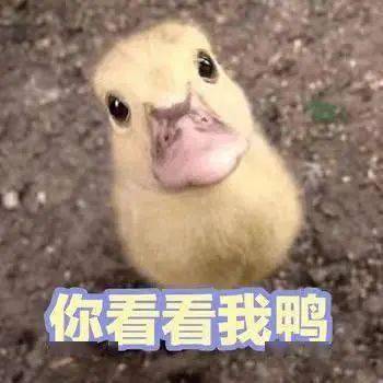  节日中秋起源之谜和别具风情的雅称
