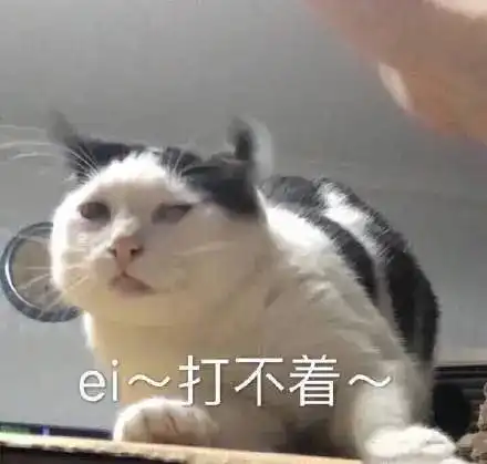 可爱想表情包猫咪
