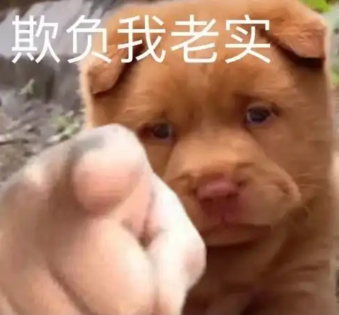  抖音超火的指人表情包指到谁请我喝奶茶