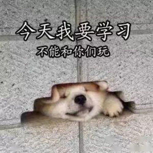 高中生物考点与难点汇总,考场上分利器80分下,背就对了