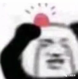  过站读物哈哈哈哈哈哈哈哈哈