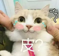  我的收藏夹