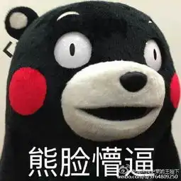  熊本熊表情包微信