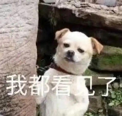 惊恐表情包图片大全狗狗