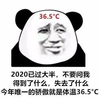  熊猫头表情包i你就是嘴硬欠吻