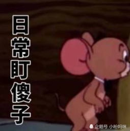  猫和老鼠沙雕表情包之绿帽子篇两个人的恋爱,四个人的狂欢